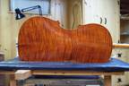 Back of a recently completed Burgess cello.
